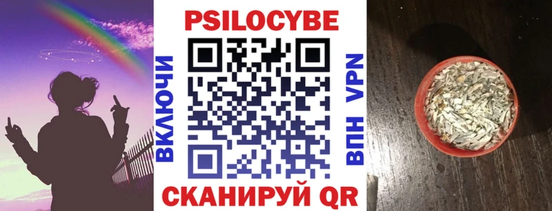 Псилоцибиновые грибы Psilocybine cubensis  где купить   Рязань 