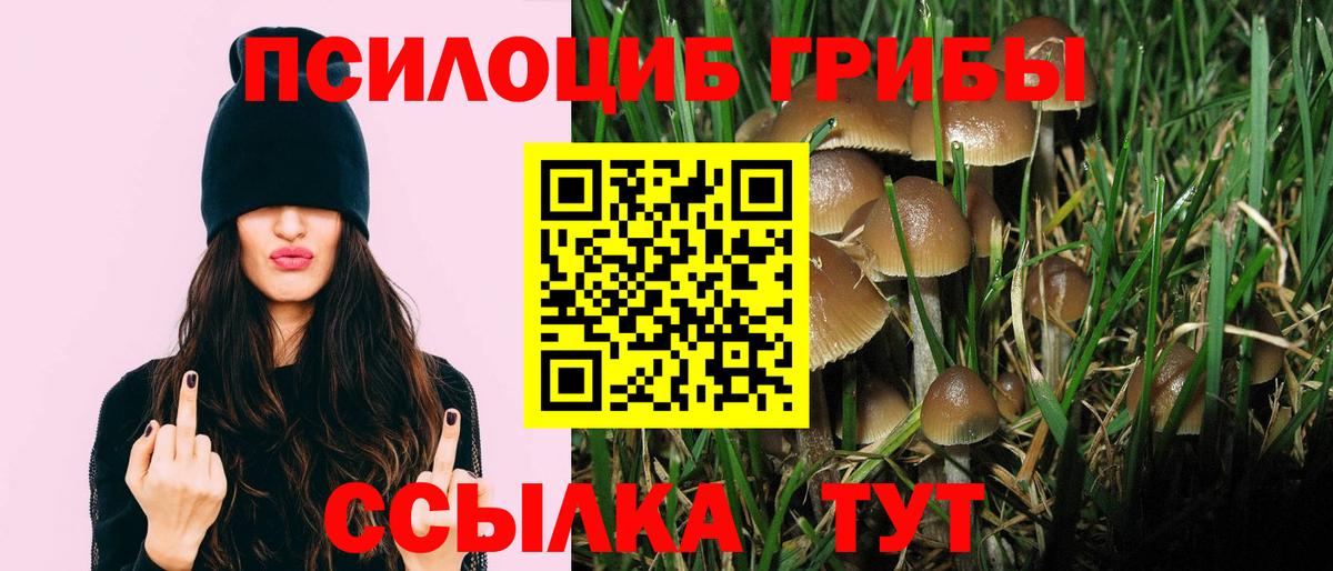 Галлюциногенные грибы Magic Shrooms Рязань