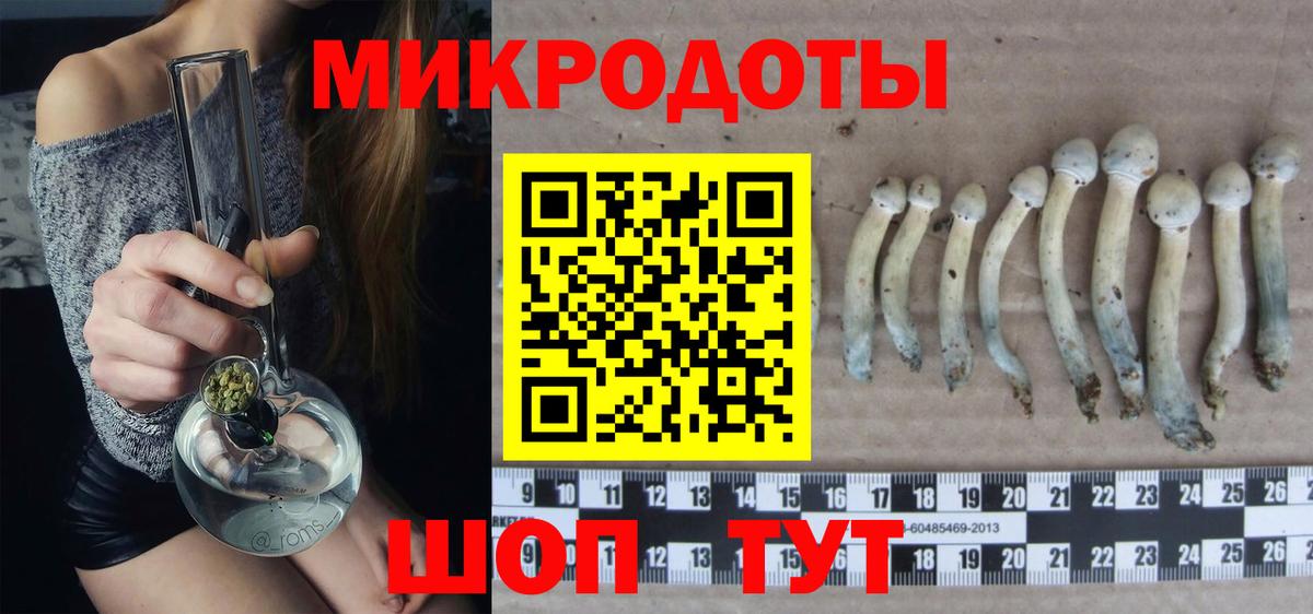 Рязань  Псилоцибиновые грибы ЛСД  Вход с VPN  Псилоцибиновые грибы мицелий 